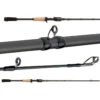 Abu Garcia Fantasista Premier Casting Rods