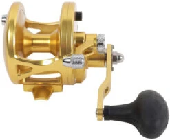 Avet JX 6.0 G2 1 Speed Reel - Gold (No Glide Plate) 8 Avet JX 6.0 G2 1 Speed Reel - Gold (No Glide Plate) -Fishing Supplies Store avet jx 6 0 g2 rh gd ngp reel 28669.1670274062