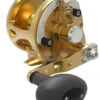 Avet JX G2 6.0 Single Speed Reel Gold