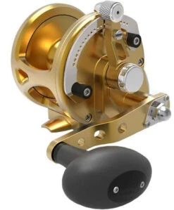 Avet JX G2 6.0 Single Speed Reel Gold