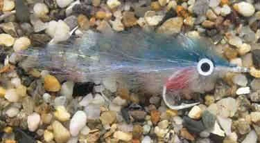 Enrico Puglisi Peanut Butter Blueback Herring Saltwater Fly 1 Enrico Puglisi Peanut Butter Blueback Herring Saltwater Fly