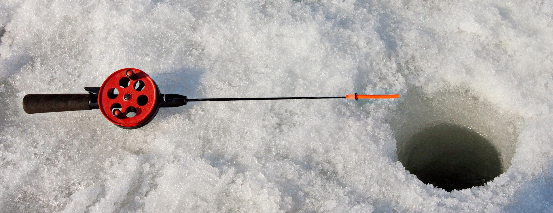 Fishing Supplies Store -Fishing Supplies Store fishing 752584 1920