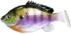 FishLab Bio Gill Weedless Soft Swimbait 8 FishLab Bio Gill Weedless Soft Swimbait -Fishing Supplies Store fishlab bio gill weedless soft swimbait 91256.1651267387