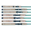 G.LOOMIS G-Loomis Greenwater Series Saltwater Rods