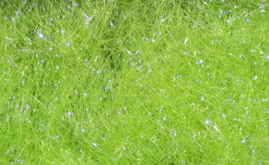 Hareline Dubbin Ice Dub - UV Light Olive 1 Hareline Dubbin Ice Dub - UV Light Olive