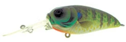 Molix Sculpo DR Rattlin Crankbait -Fishing Supplies Store molix sculpo dr rattlin crankbait 54107.1651075811