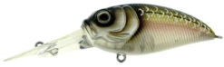 Molix Sculpo DR Rattlin Crankbait -Fishing Supplies Store molix sculpo dr rattlin crankbait 81642.1651075810
