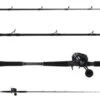 Ocean Tackle International Pitch Black Inshore OTI-PBI701HFC/Daiwa Lexa LX-HD3000-H-P Combo