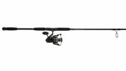 Penn PURIII8000701H Pursuit III Spinning Combo -Fishing Supplies Store penn puriii8000701h pursuit iii spinning combo 85418.1650814867