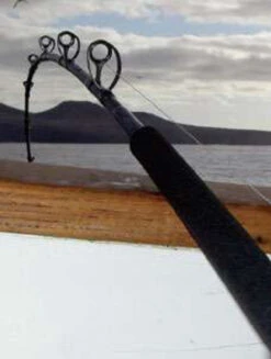 Phenix Black Diamond Hybrid Offshore Conventional Rods 5 Phenix Black Diamond Hybrid Offshore Conventional Rods -Fishing Supplies Store phenix black diamond hybrid offshore conventional rods 94768.1651077055