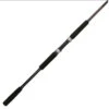 Shakespeare USBWSF1025S802 Ugly Stik Bigwater Spinning Rod