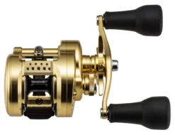 Shimano Calcutta Conquest MD Baitcasting Reels 9 Shimano Calcutta Conquest MD Baitcasting Reels -Fishing Supplies Store shimano calcutta conquest md baitcasting reels 25316.1674255441