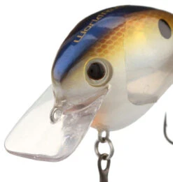 Shimano World Rush Square Bill Crankbait -Fishing Supplies Store shimano world rush square bill crankbait 27138.1678982280