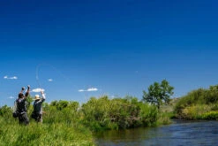 Thomas & Thomas Lotic Series Fly Rods 6 Thomas & Thomas Lotic Series Fly Rods -Fishing Supplies Store thomas thomas lotic series fly rods 25489.1651330459