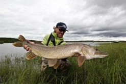 Thomas & Thomas Exocett Predator Fly Rod - 9 Ft. 4 In. - 45 Grain 7 Thomas & Thomas Exocett Predator Fly Rod - 9 Ft. 4 In. - 45 Grain -Fishing Supplies Store thomas thomas predator 94450 4 exocett predator fly rod 49198.1651330451