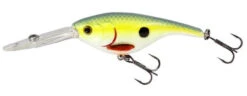 Westin BabyBite DR Crankbait 8 Westin BabyBite DR Crankbait -Fishing Supplies Store westin babybite dr lure 52865.1651335025